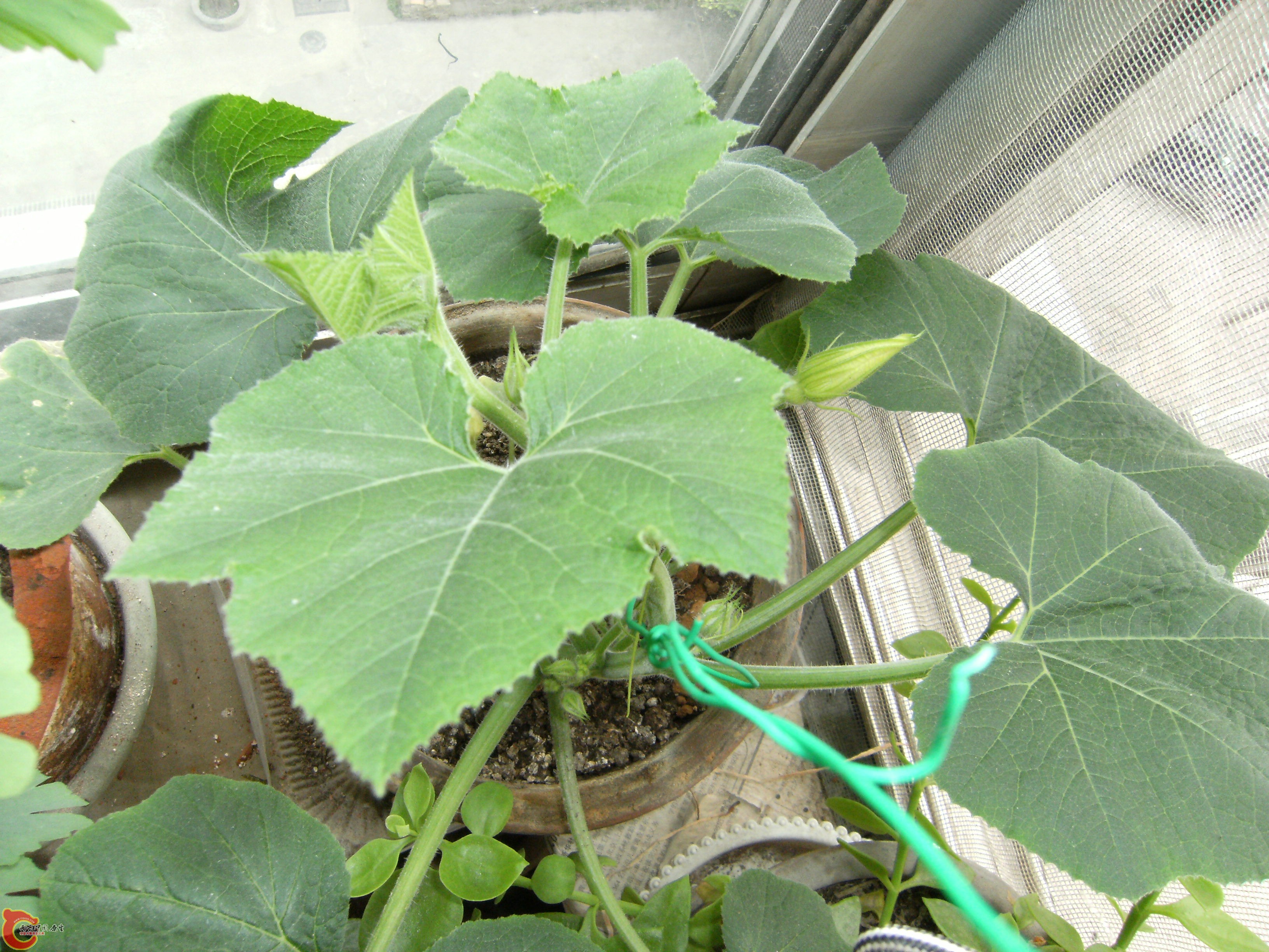 DSCF5076.JPG
