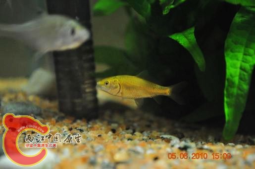 DSC_1192.JPG