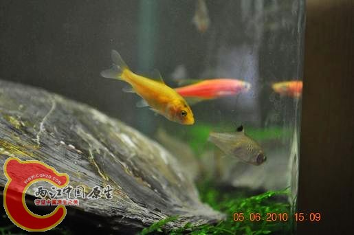 DSC_1194.JPG