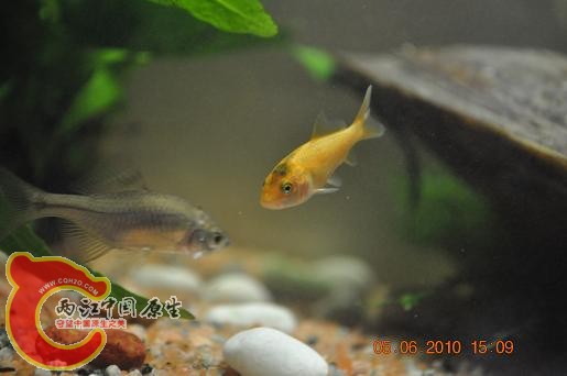 DSC_1193.JPG