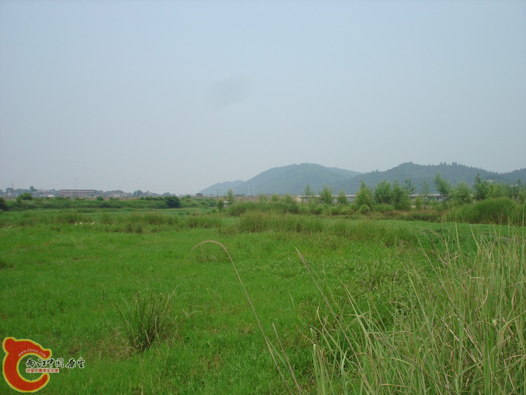 DSC08908.jpg