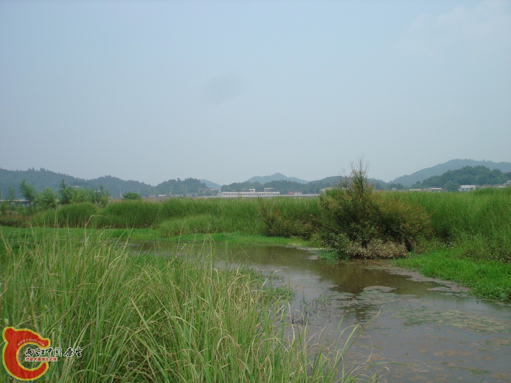 DSC08906.jpg