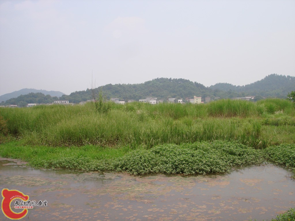 DSC08905.jpg
