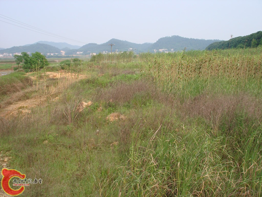DSC08913.jpg