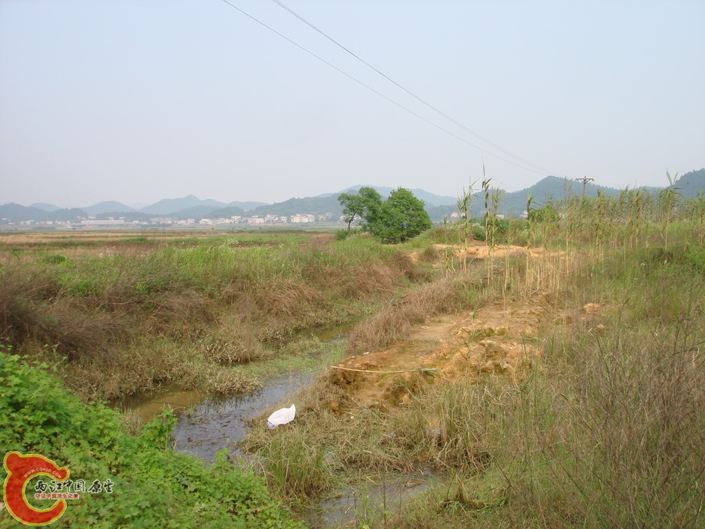 DSC08910.jpg