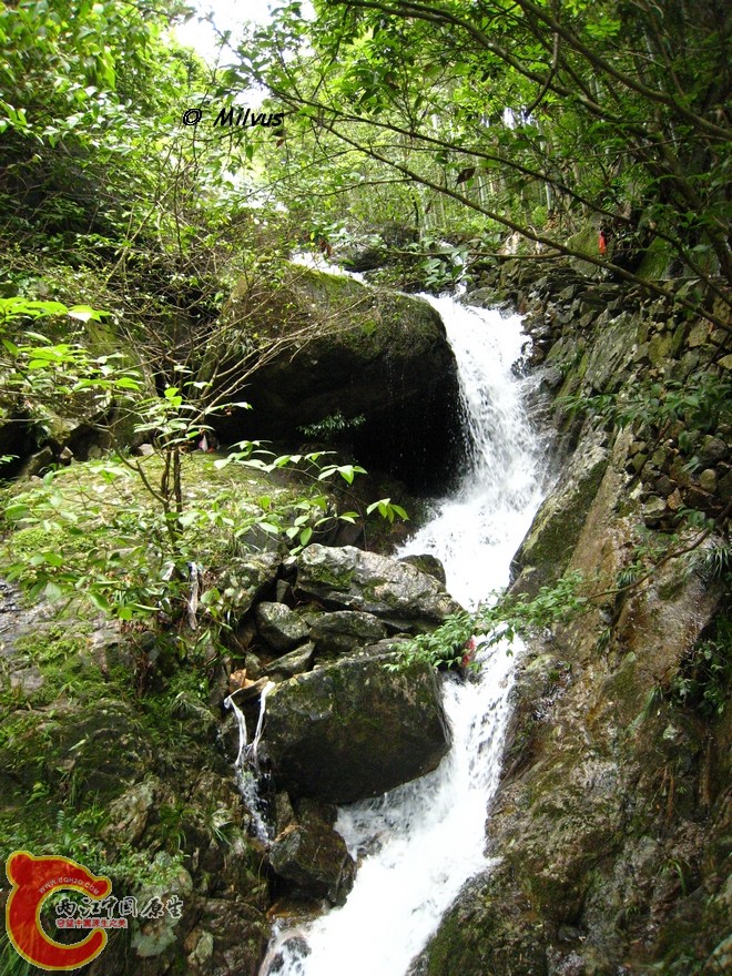 IMG_1621.JPG