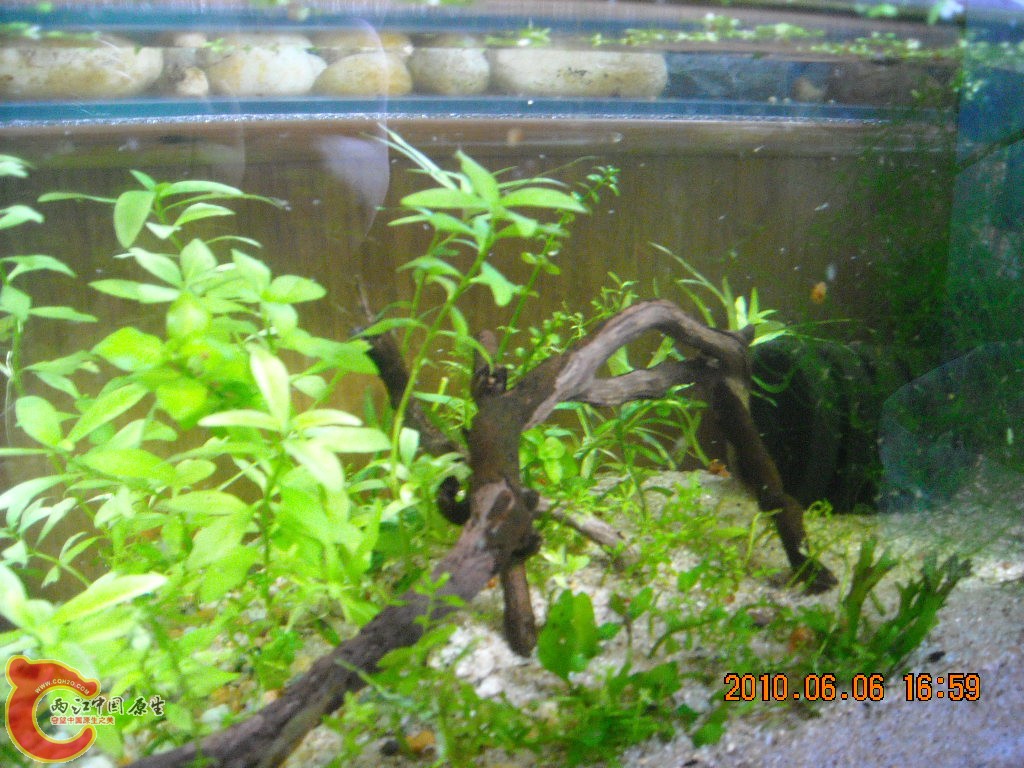 DSCN8645.JPG