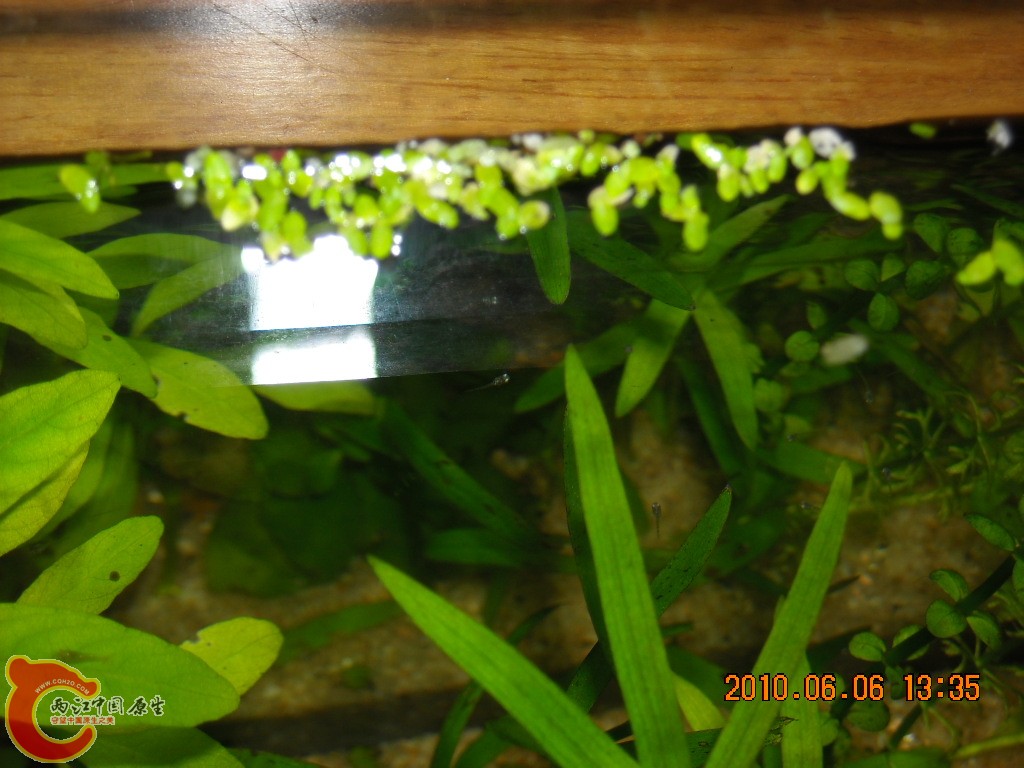 DSCN8640.JPG