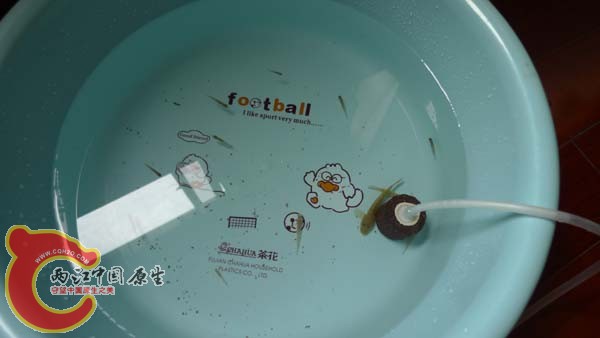 P1000903.jpg