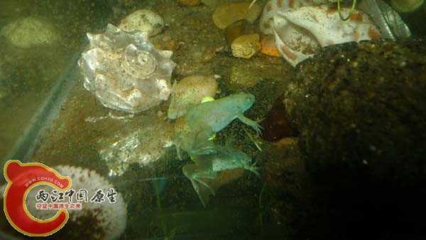 P1000933.jpg