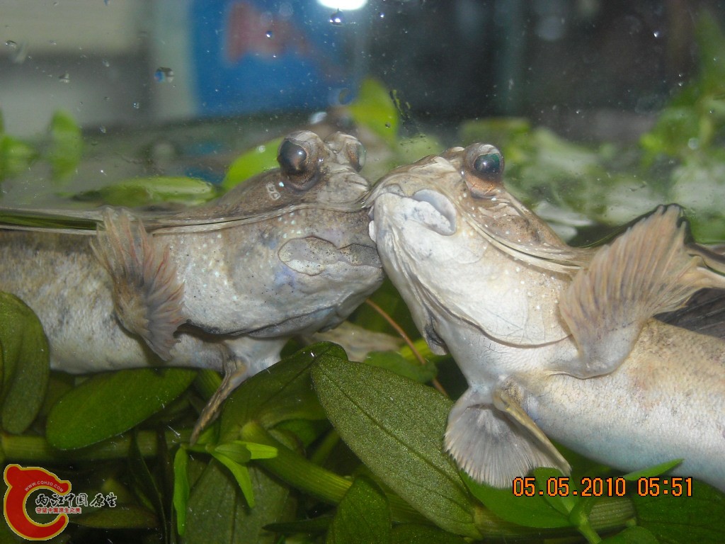 DSCN3942.JPG