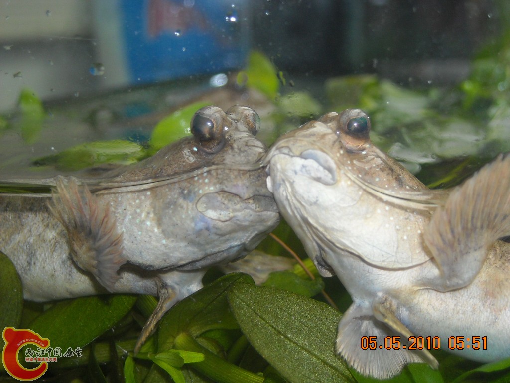 DSCN3944.JPG