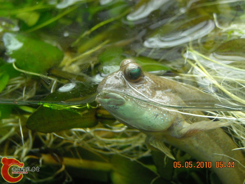 DSCN3932.JPG