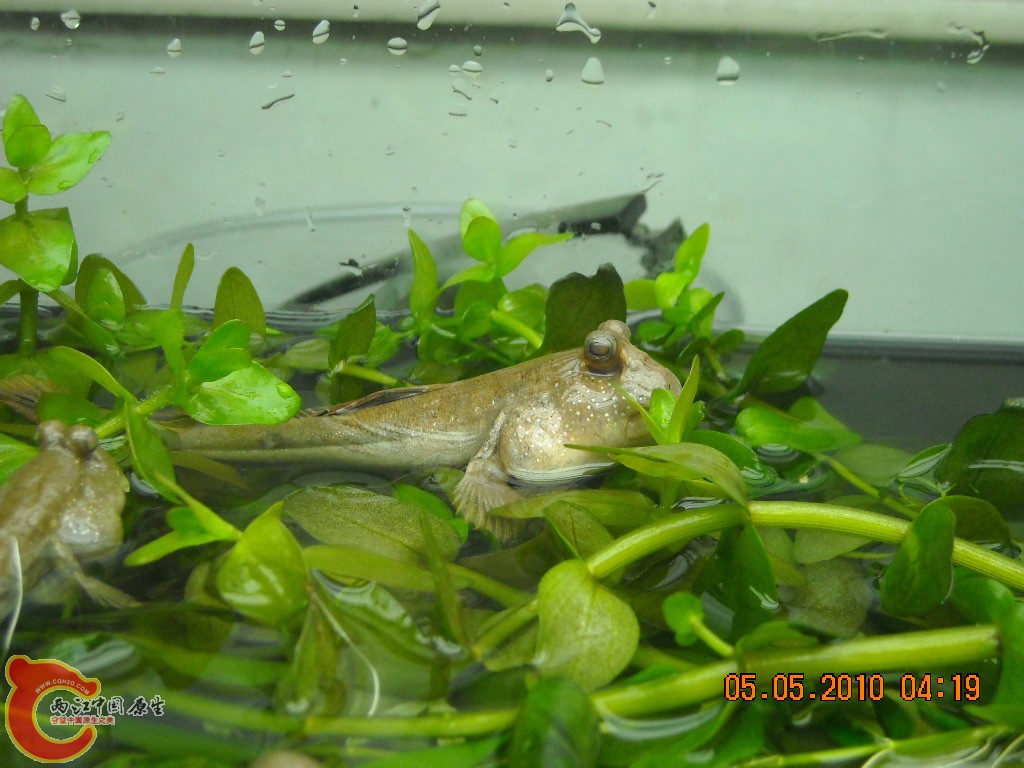 DSCN3895.JPG