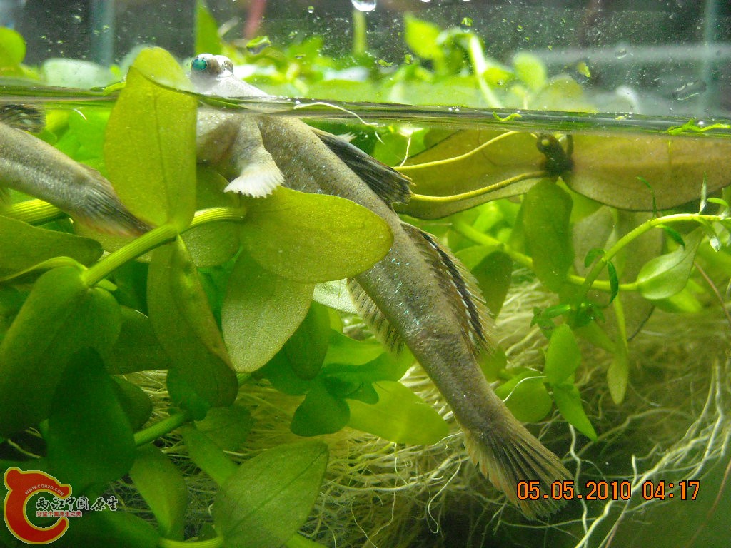 DSCN3892.JPG