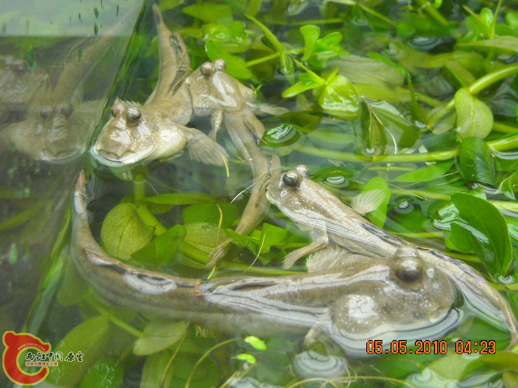 DSCN3906.JPG