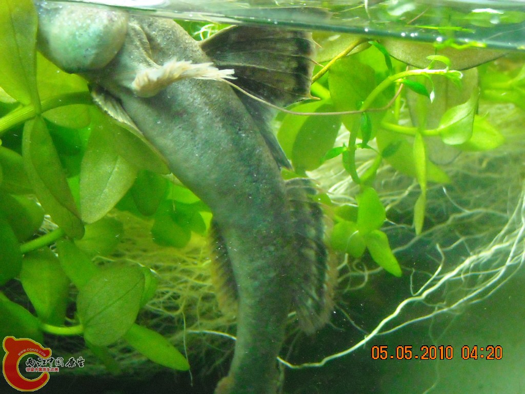 DSCN3899.JPG