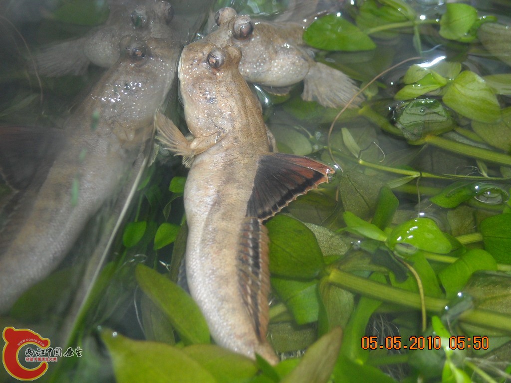 DSCN3938.JPG