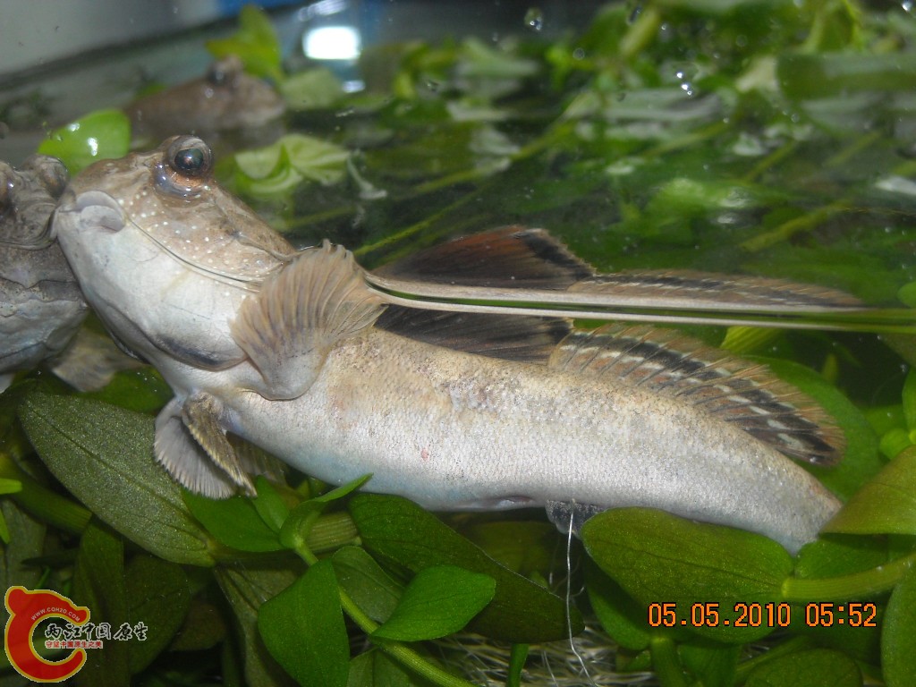 DSCN3950.JPG