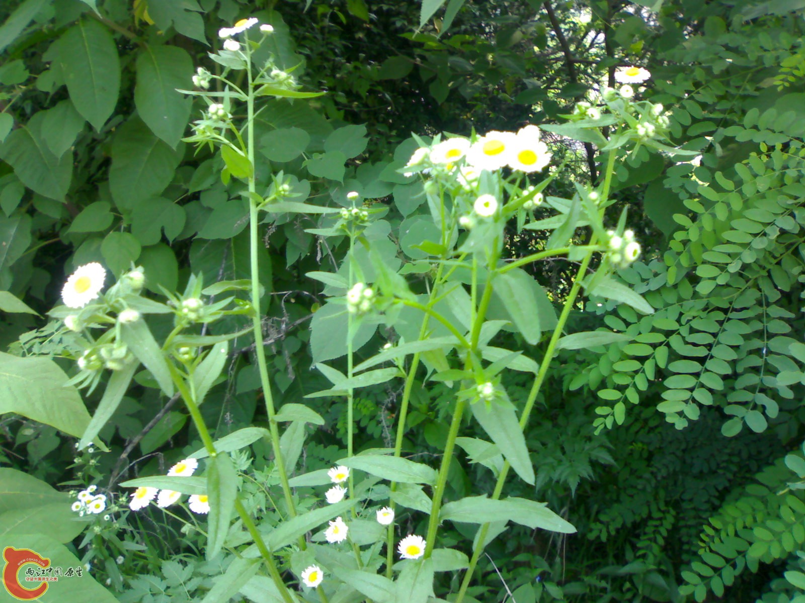 201006061482 - 副本.jpg