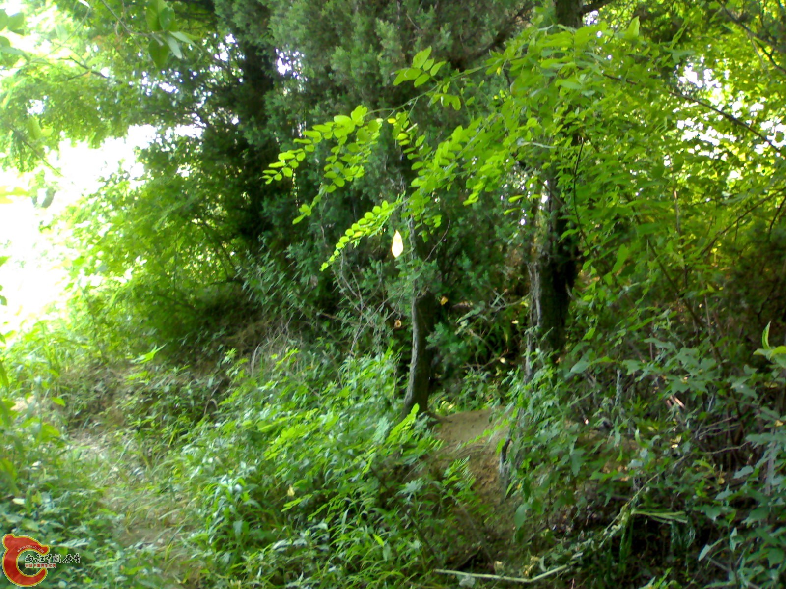 201006061504.jpg