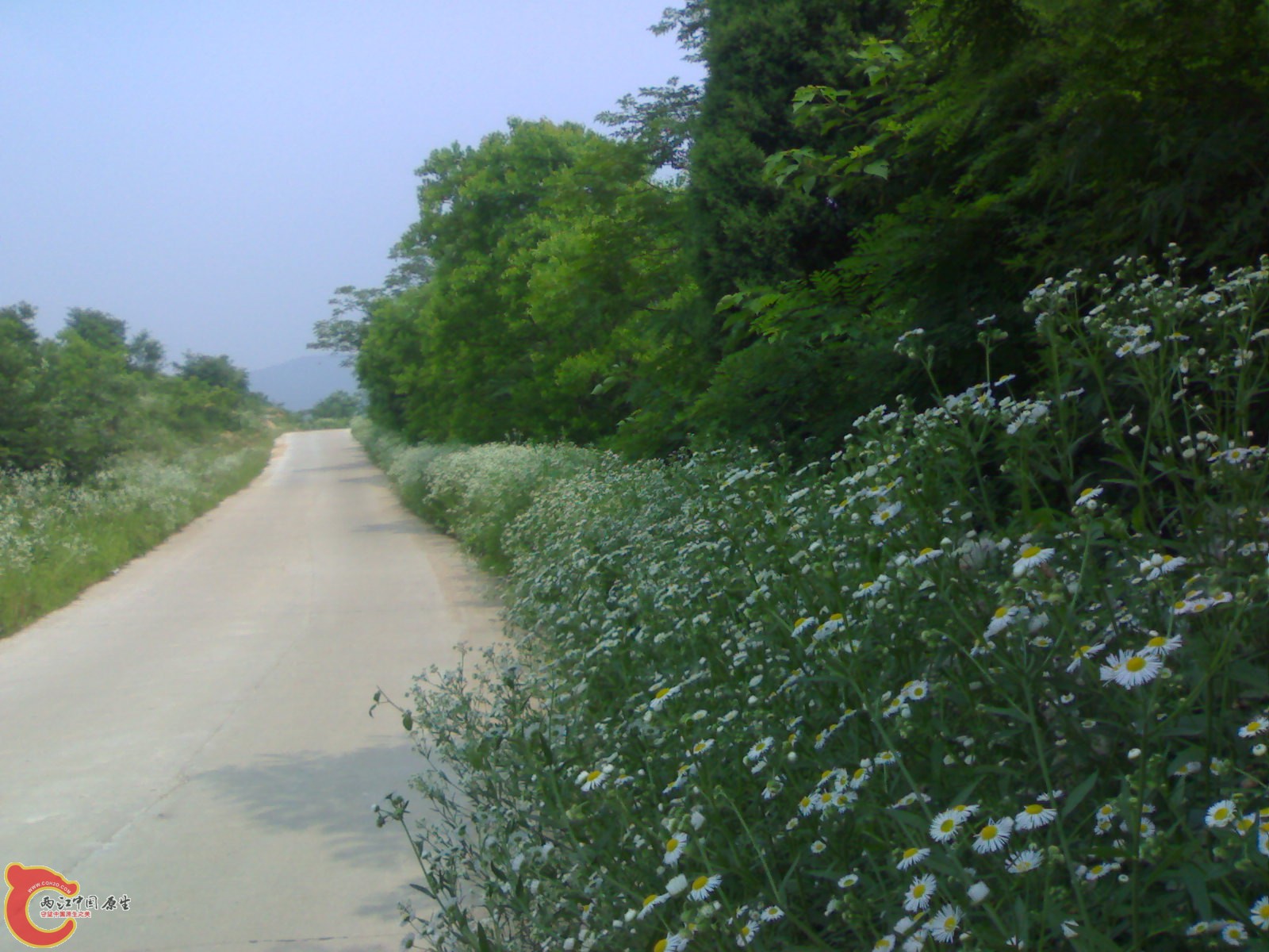 201006061483 - 副本.jpg