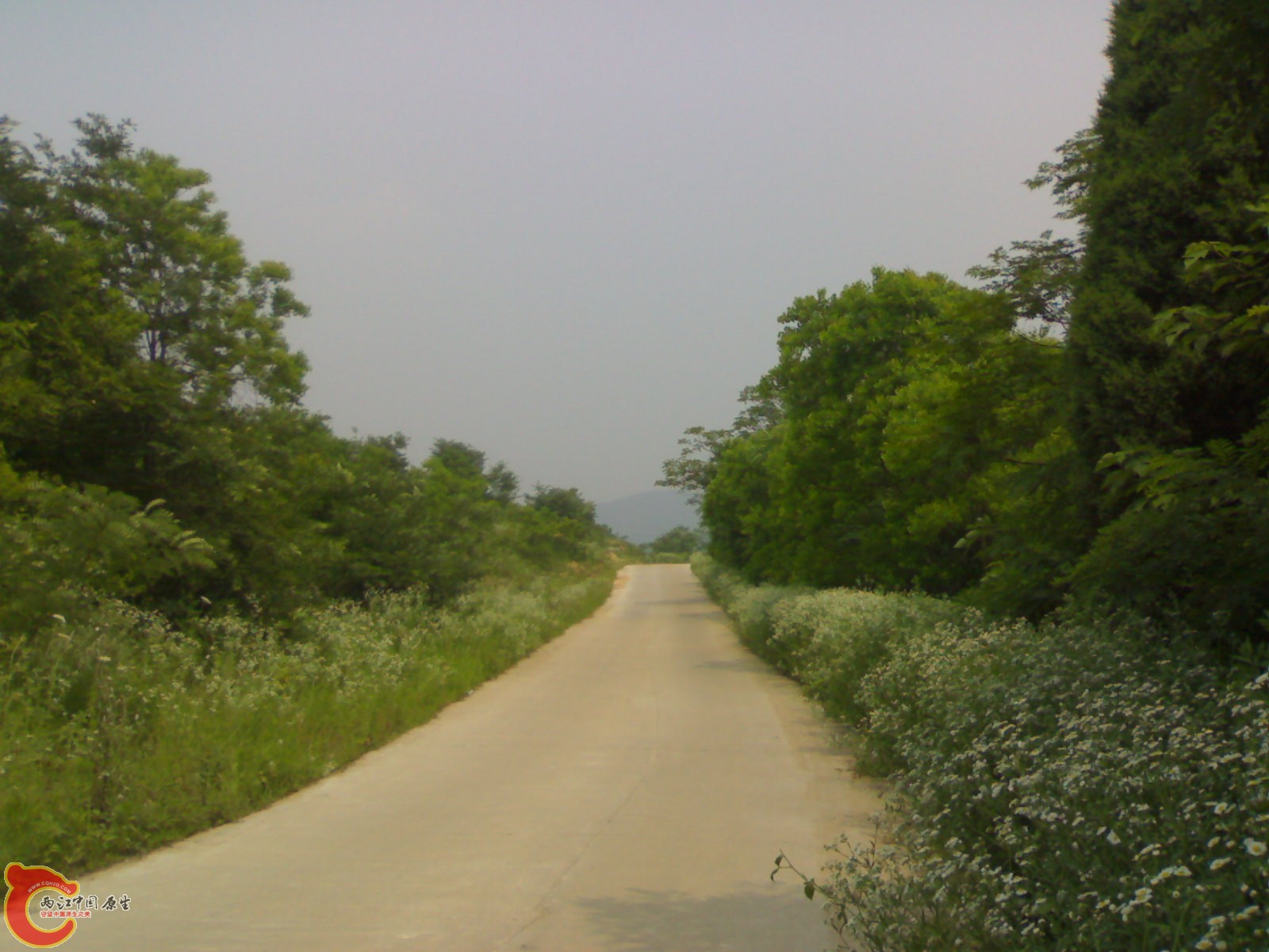 201006061484 - 副本.jpg