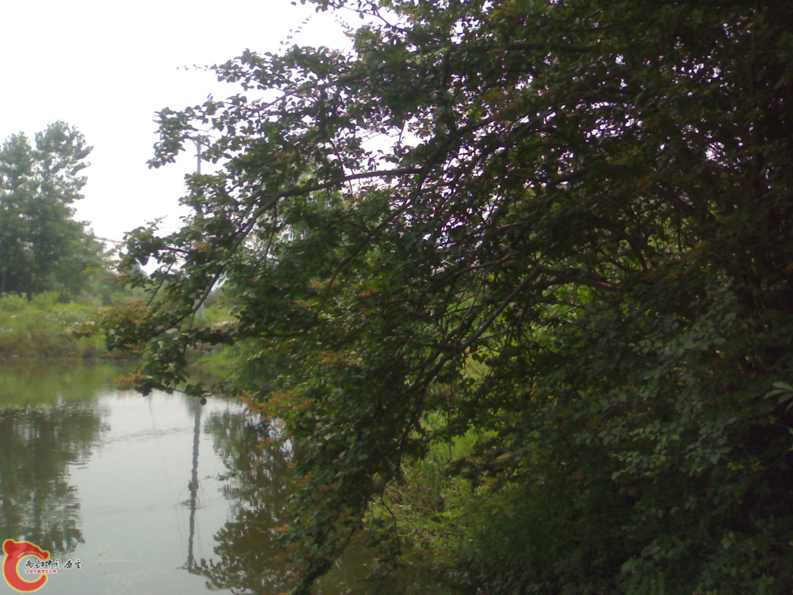 201006061508.jpg