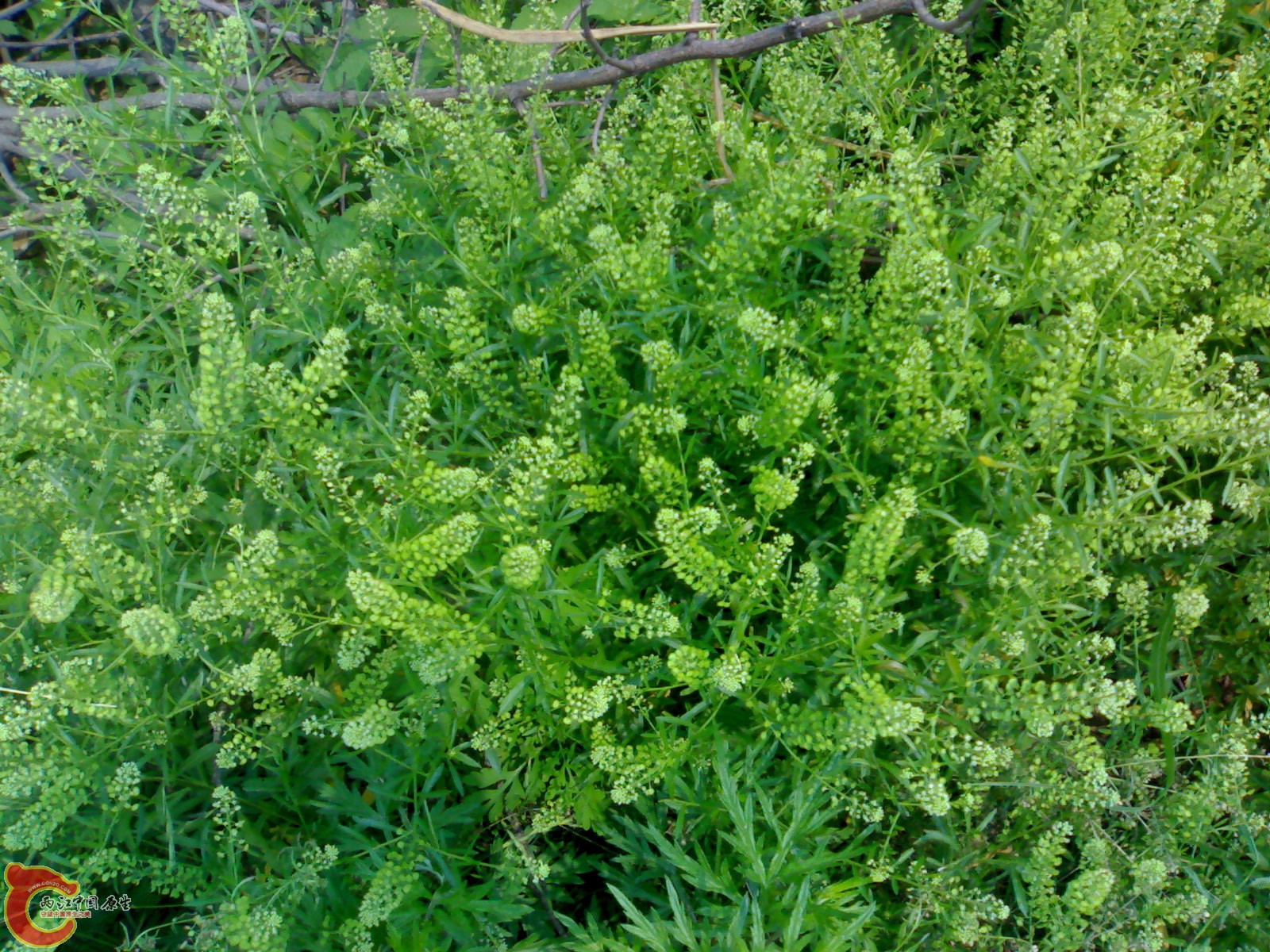 201006061510.jpg