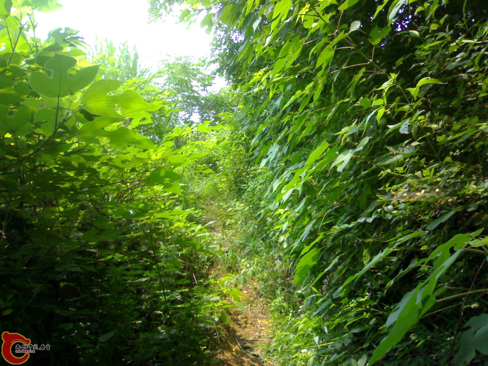 201006061509.jpg