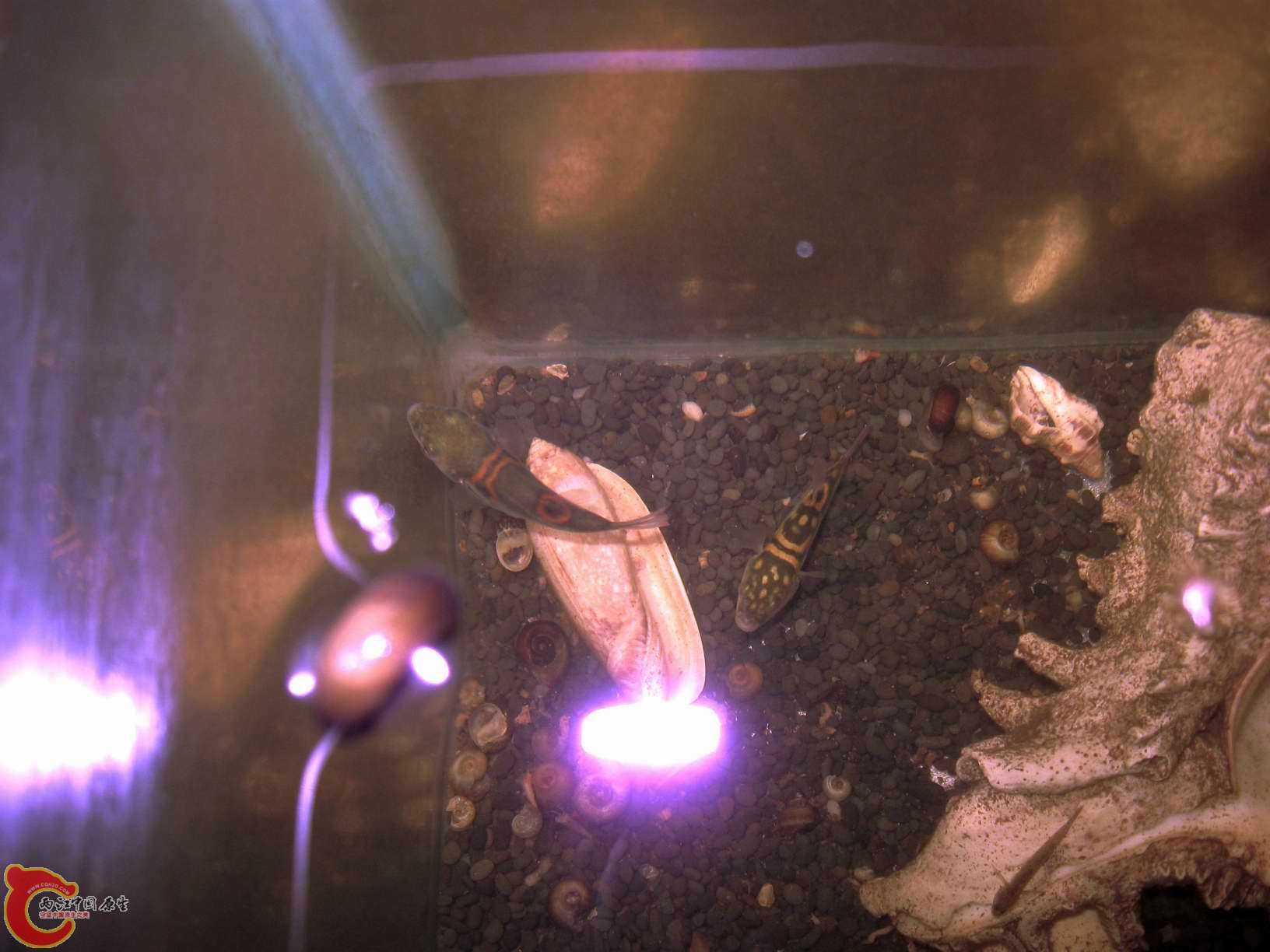 调整大小 照片 168.jpg