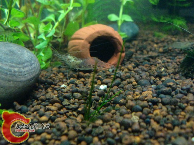 IMG_3828.JPG