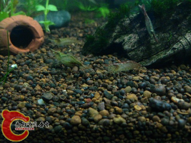 IMG_3823.JPG