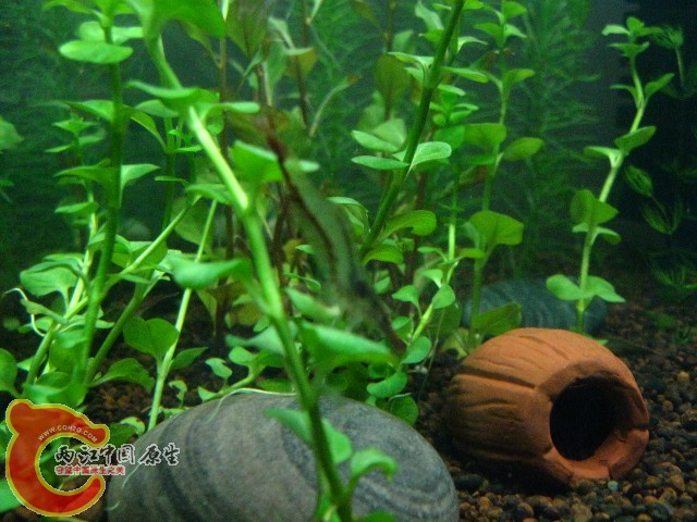 IMG_3825.JPG