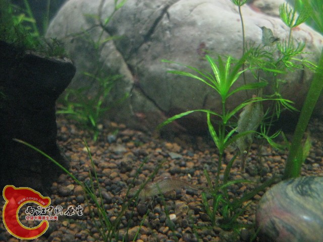 IMG_3819.JPG