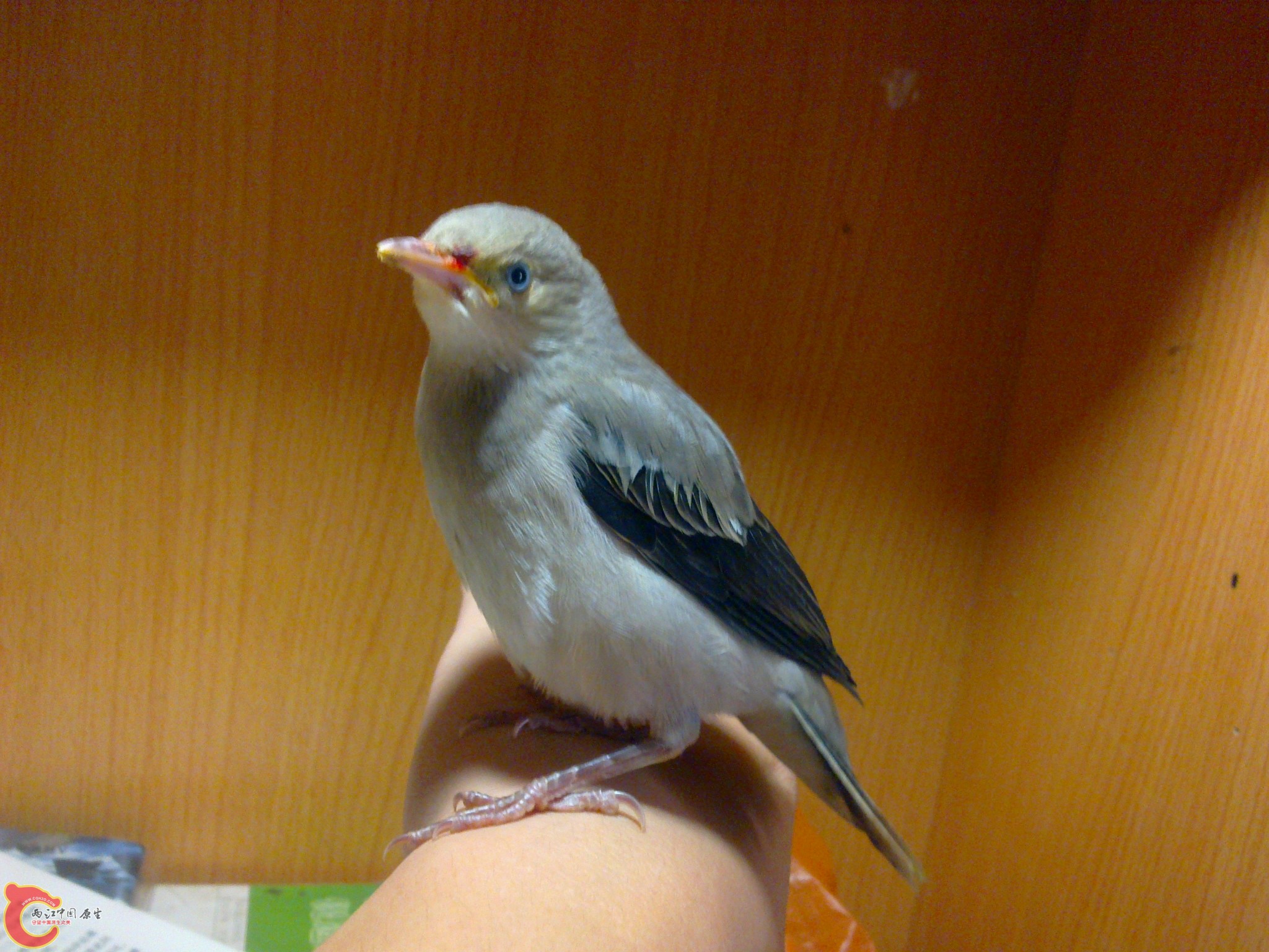 20100609620.jpg