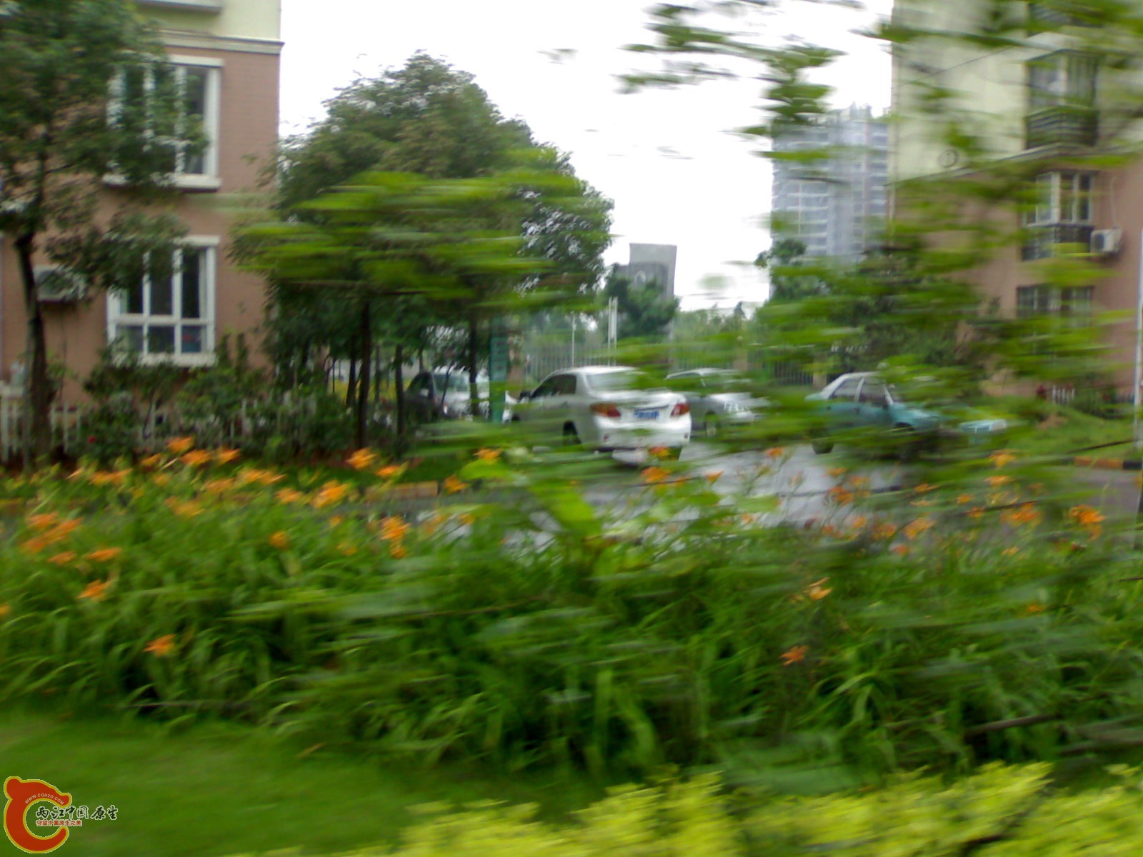 20080527010.jpg