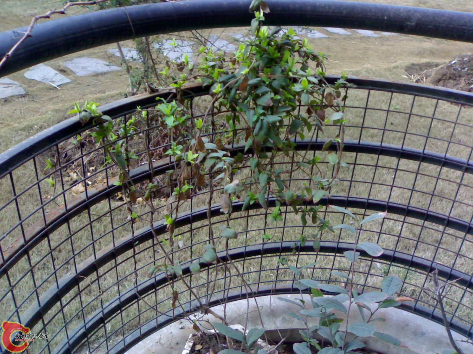 200902201452.jpg