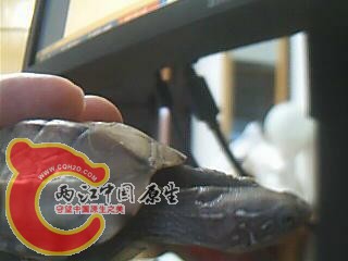 图片 006.jpg