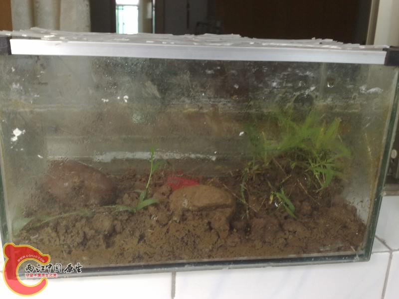 201006111054.jpg