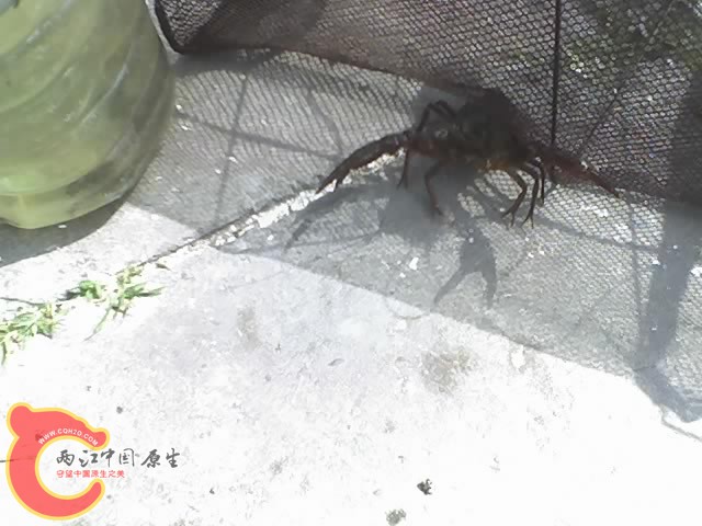 06-09-10_0930.jpg