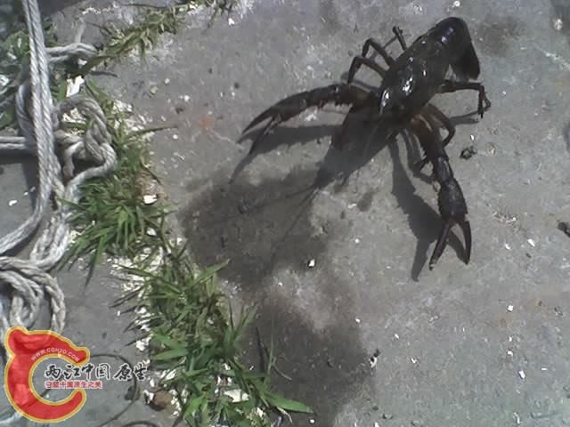 06-09-10_0929.jpg