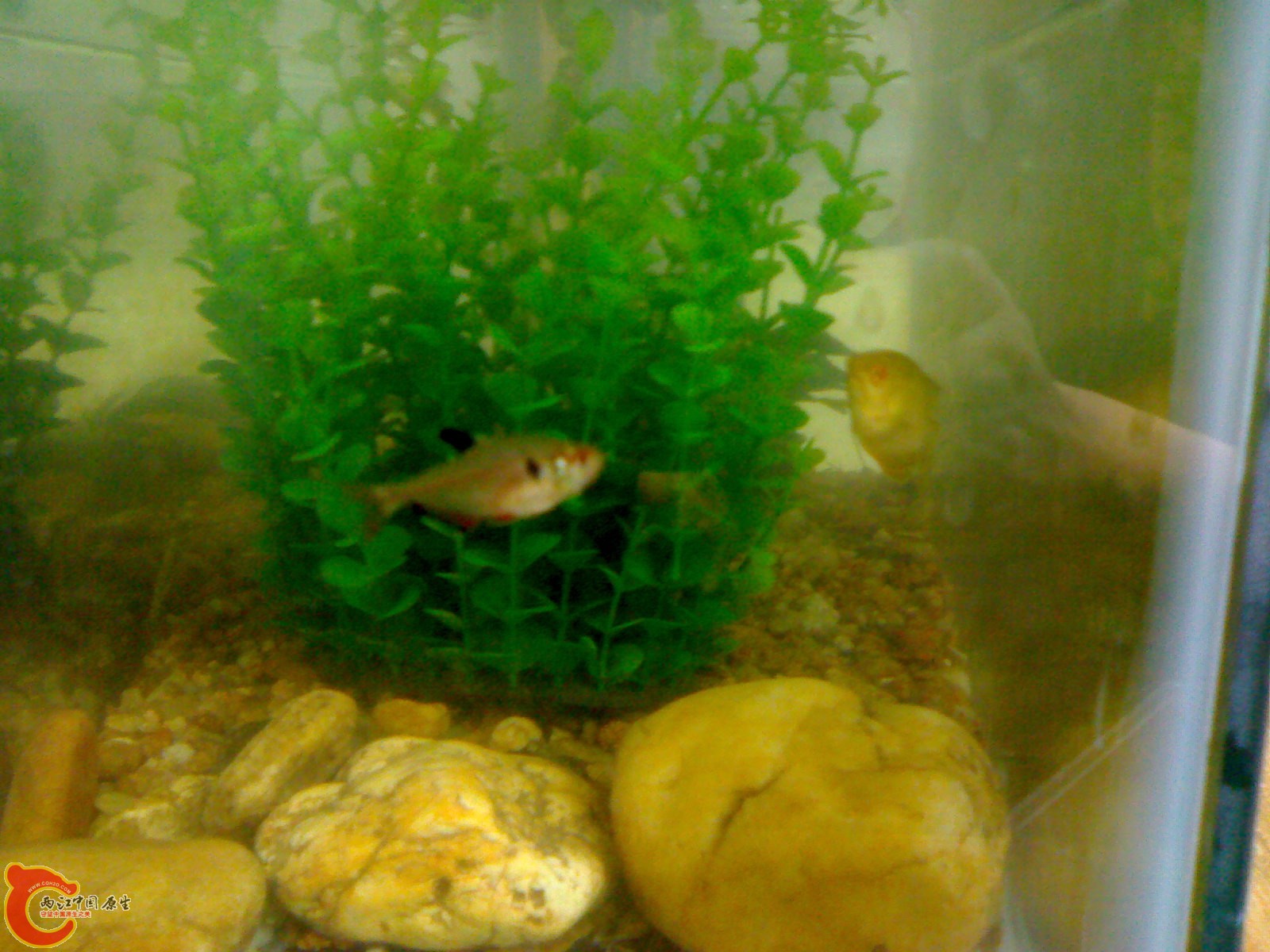 201006121608.jpg