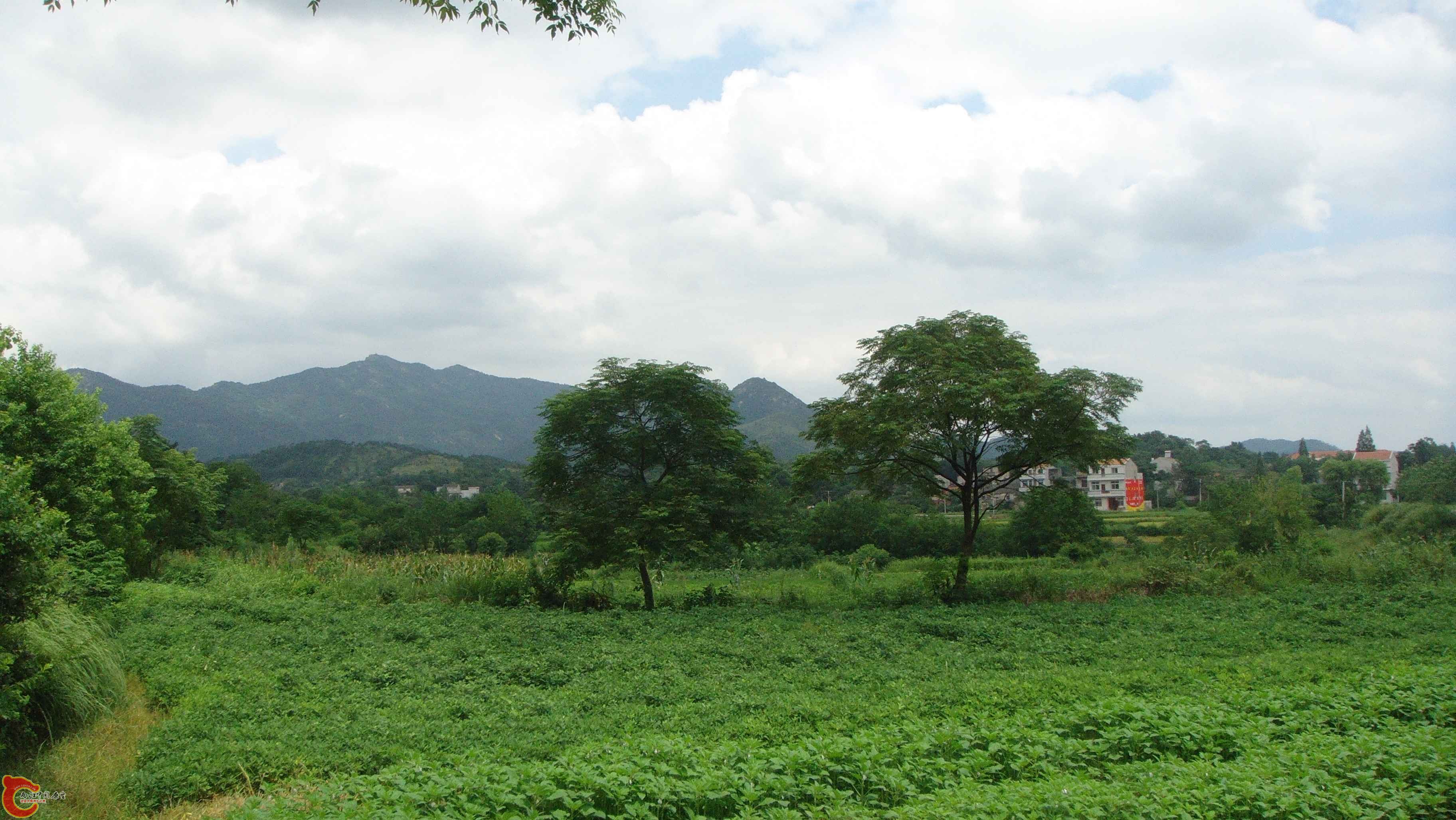 DSC01026.JPG