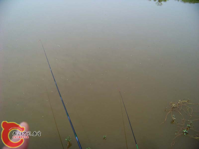 100_1482.jpg
