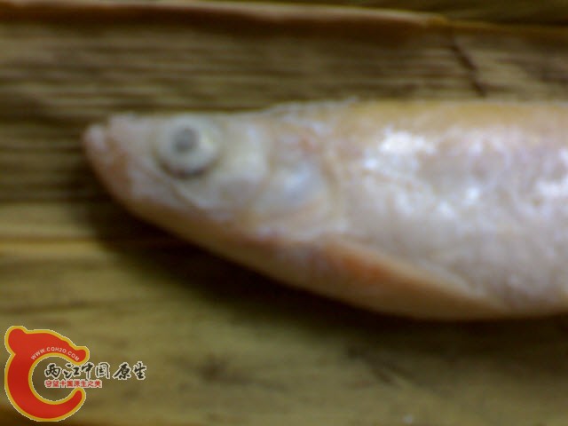 DSC00097.JPG