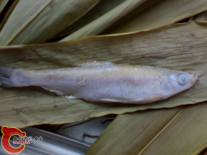 DSC00094.JPG