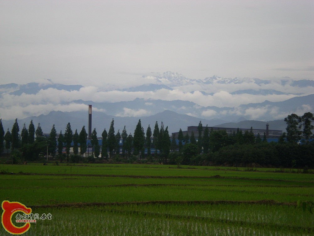 DSCN2663.jpg1.jpg1.jpg