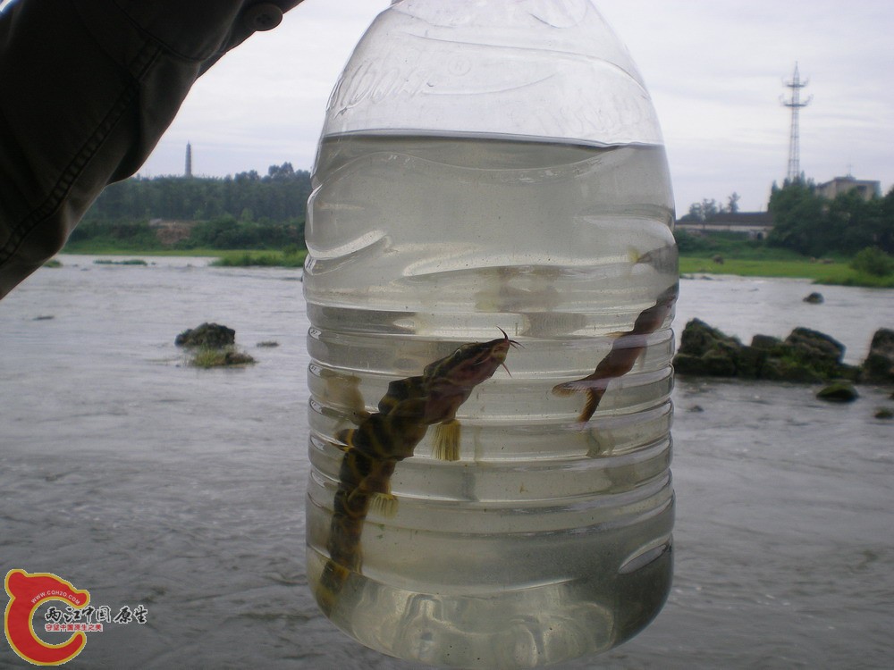 DSCN2668.jpg1.jpg