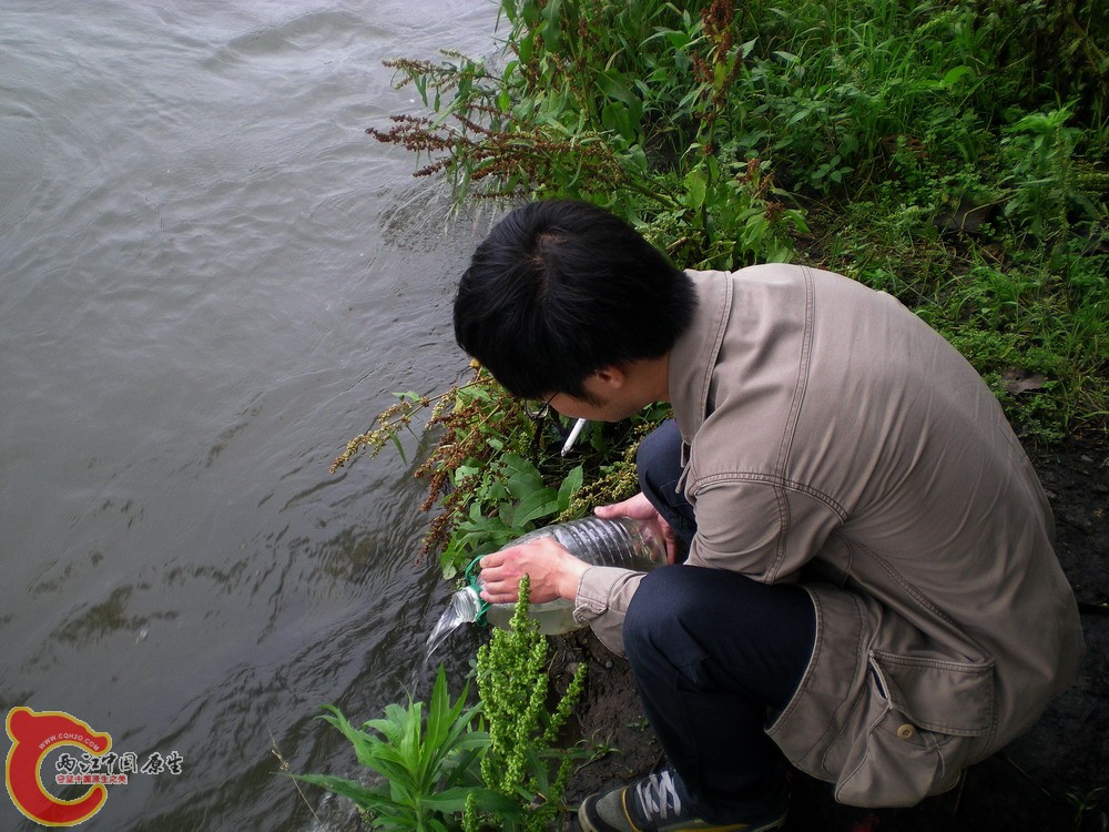 DSCN2670.jpg1.jpg
